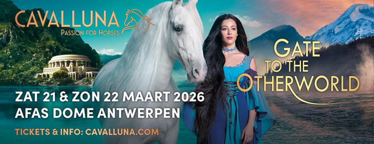 Een paard op het dak van de AFAS Dome!