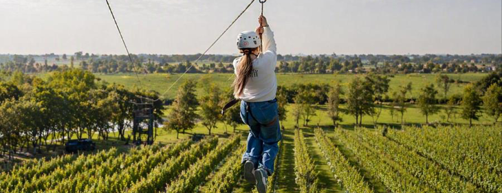 Zip & Sip brengt spectaculair avontuur naar wijndomein Vin de Goffin in Bilzen-Hoeselt Zip & Sip brengt spectaculair avontuur naar wijndomein Vin de Goffin in Bilzen-Hoeselt