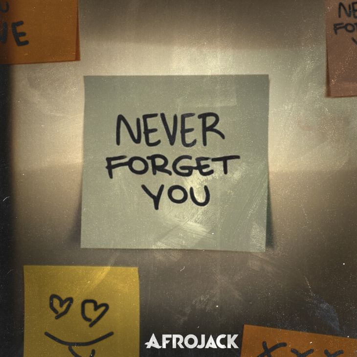 AFROJACK - Never Forget You